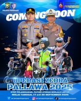 54f14706-e2ce-494d-87c0-ab5aea7ec5be